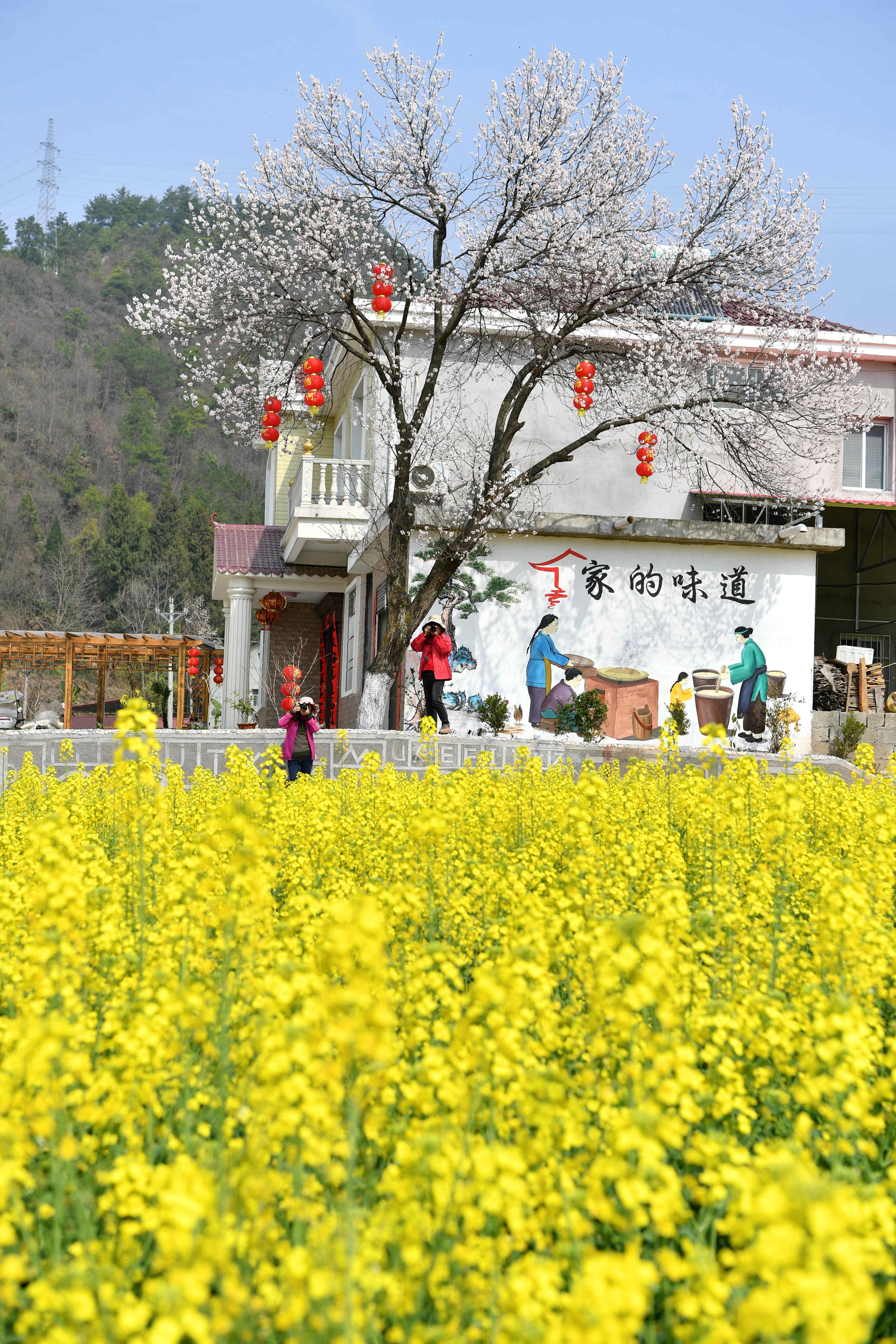 道县大坪铺农场领导团队引领新高度发展之路