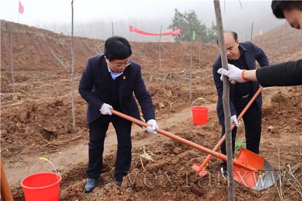 叶县住房和城乡建设局最新发展规划概览