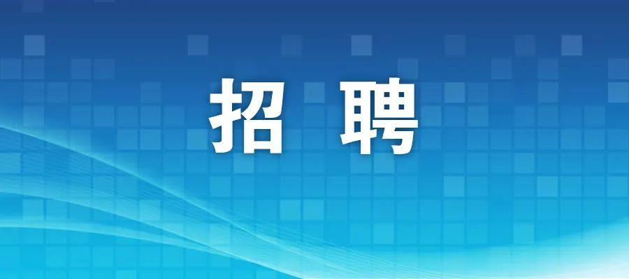 石景山区文化局最新招聘公告详解