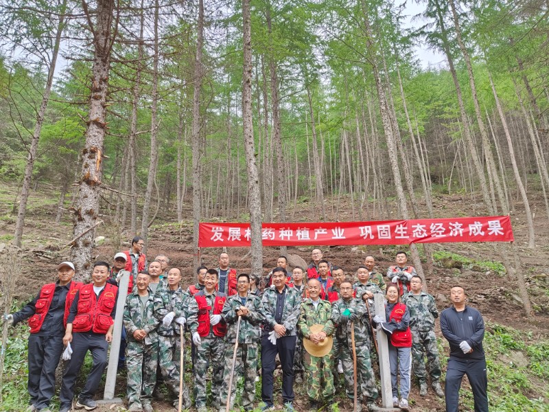 汤洪岭林场绿色项目，探索与实践可持续发展之路