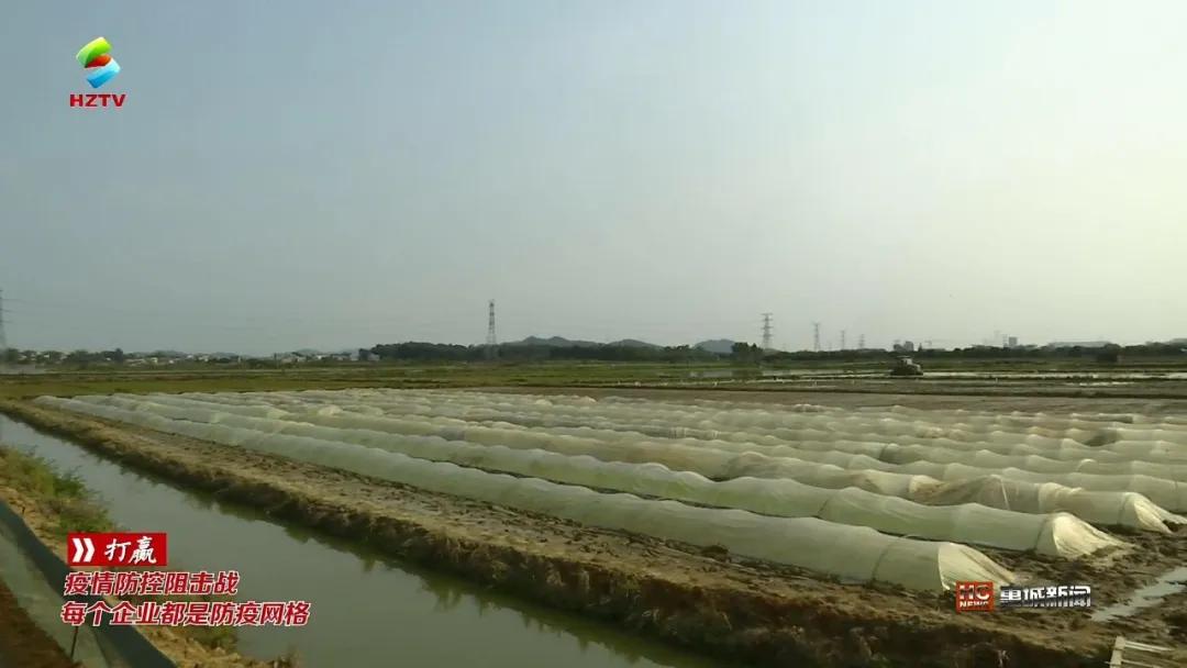 惠城区水利局领导团队最新阵容，引领水利事业攀升新高峰