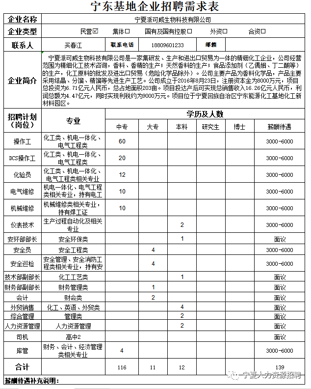 宁东镇最新招聘信息概览与解析