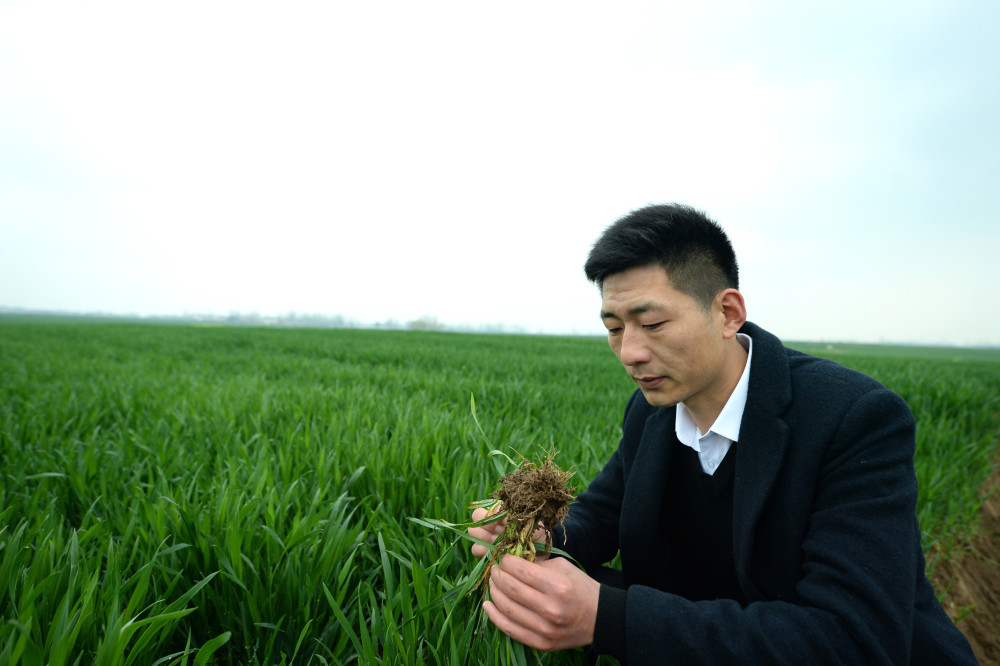 傅寨乡领导团队全新亮相，携手共筑乡村未来新篇章