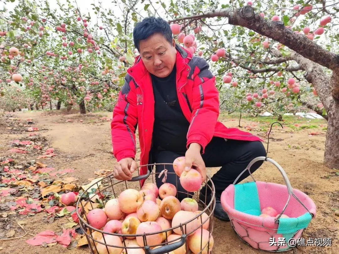 大连华侨果树农场天气预报更新通知