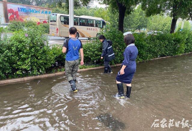 裕华区公路运输管理事业单位最新项目深度研究分析