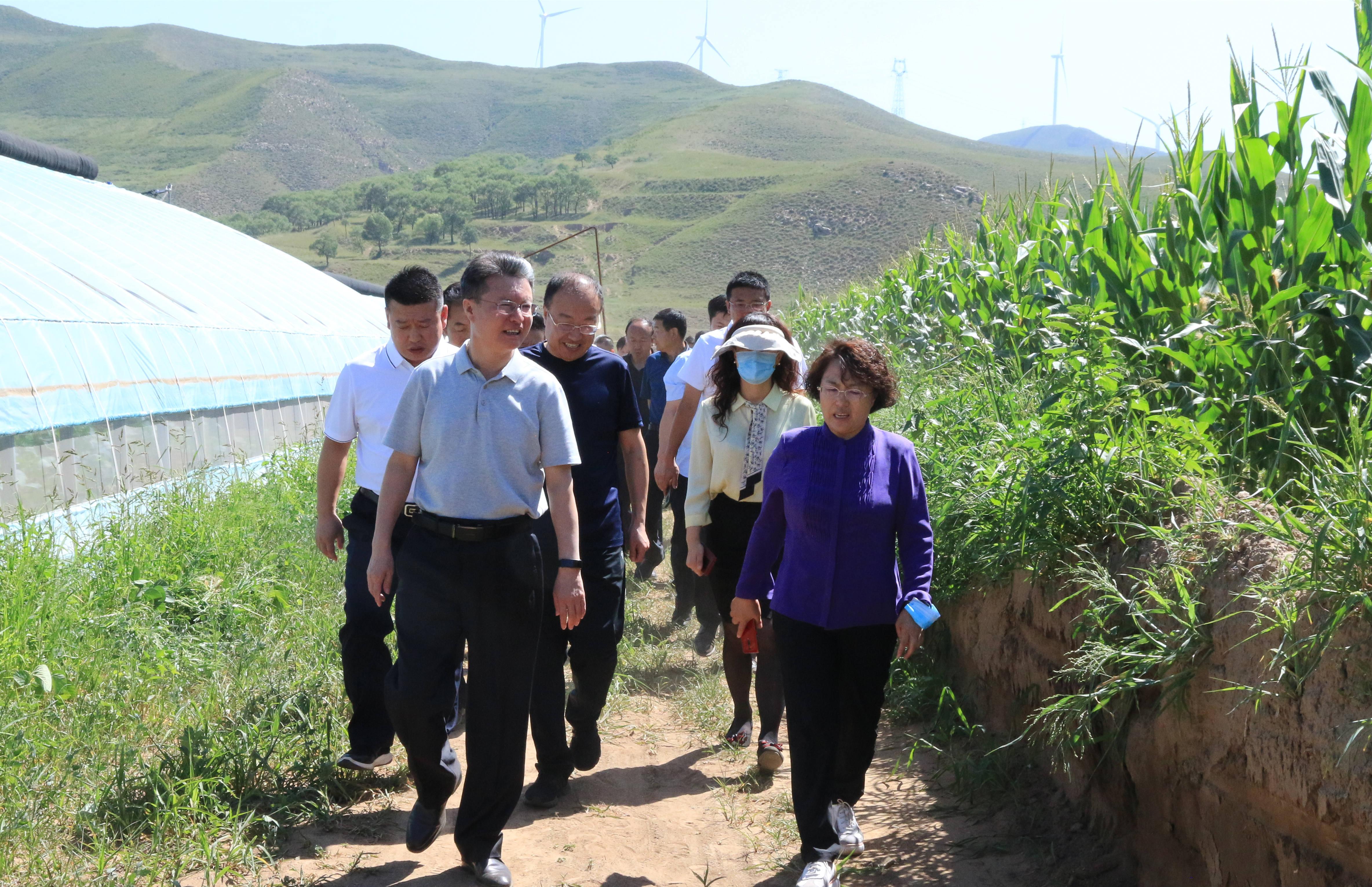 山西省朔州市平鲁区双碾乡发展规划展望，最新蓝图揭秘