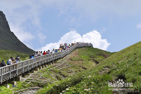 长白县南坡旅游开发区交通新动态与长白山保护开发区管委会最新交通新闻发布