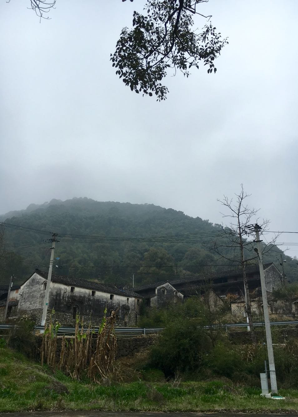 观音山镇天气预报更新通知