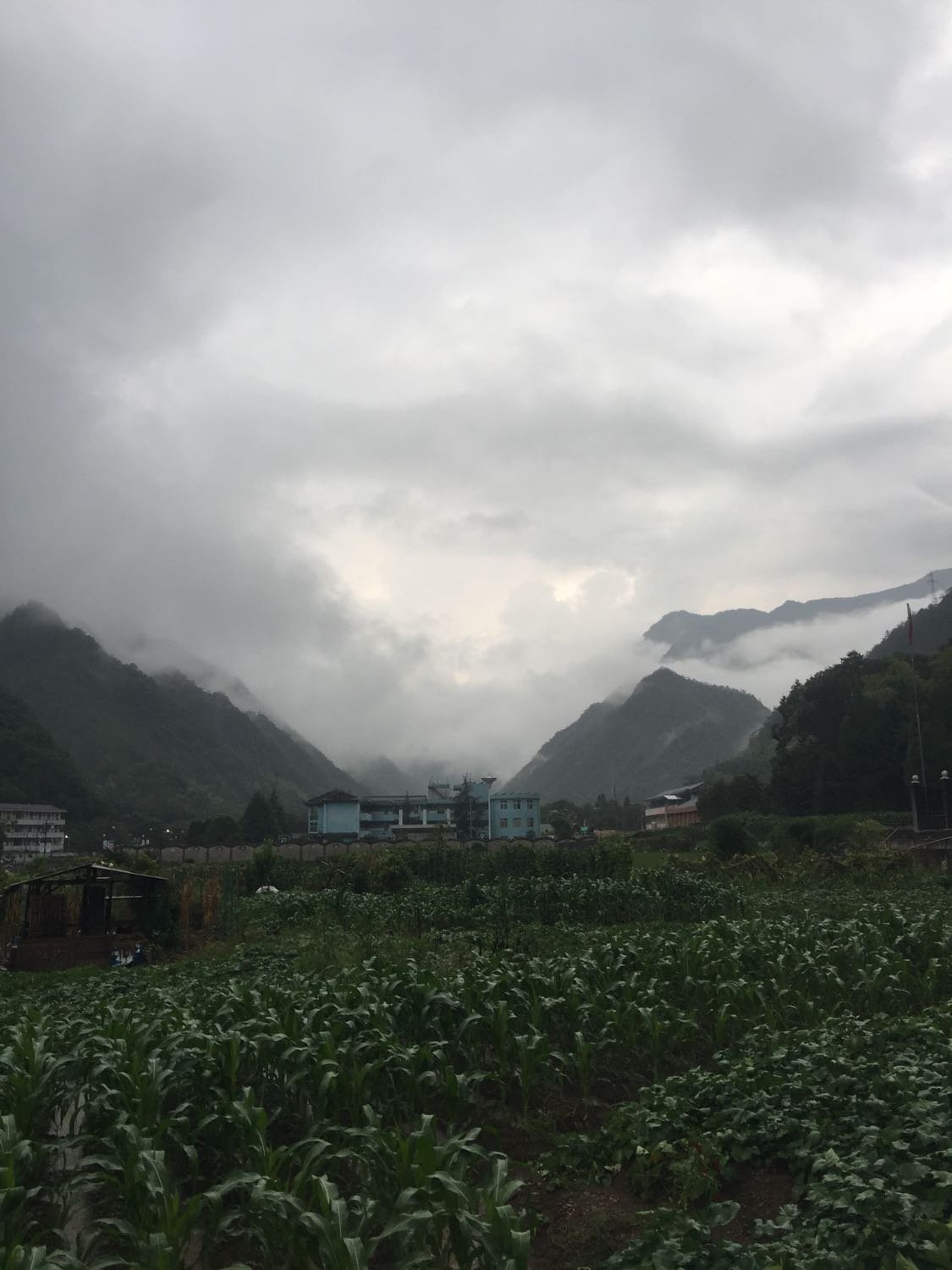 珠山镇天气预报更新通知