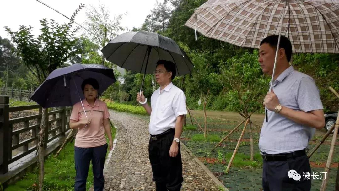 连湖镇领导团队引领未来，铸就辉煌新篇章