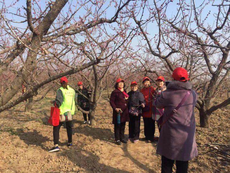 恩城镇新项目，地区发展的强大引擎领航者