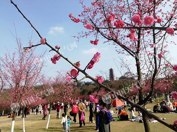 日照市气象局领导团队最新概述