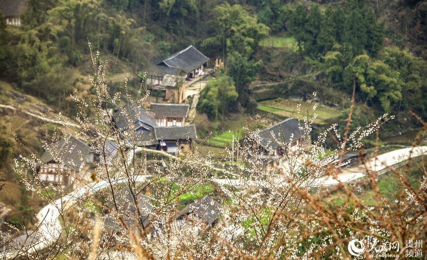 务川仡佬族苗族自治县公路运输管理事业单位最新项目研究报告发布