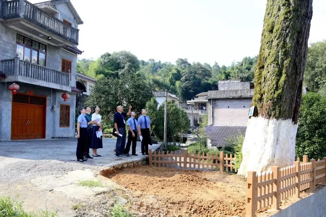 青冈县文化广电体育和旅游局领导团队简介